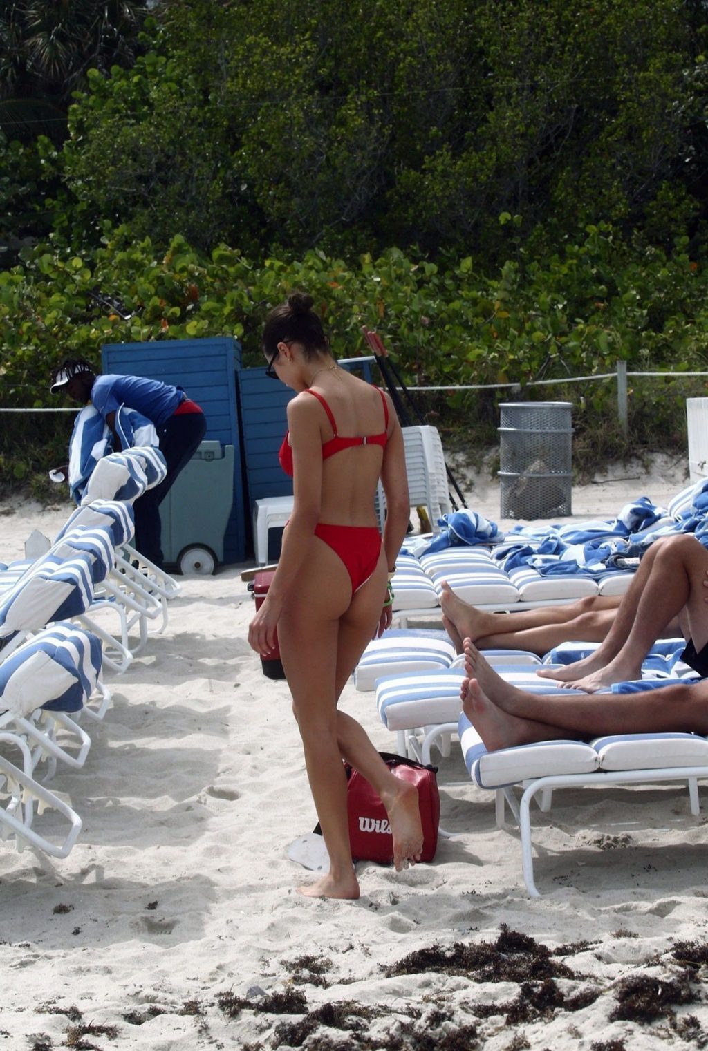 Olivia Culpo ass